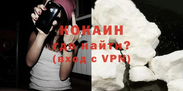 mdpv Бородино