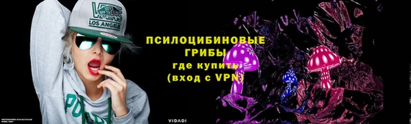 mdpv Бородино