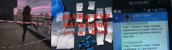 mdpv Бородино