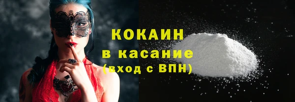 mdpv Бородино