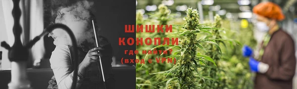 mdpv Бородино