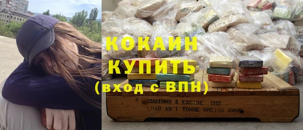 mdpv Бородино