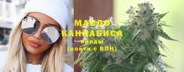 mdpv Бородино