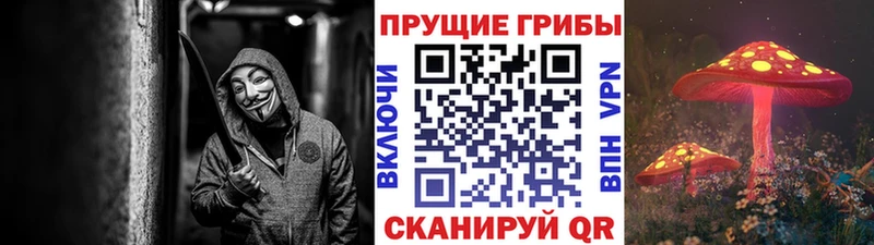 ОМГ ОМГ ссылка Нижний Новгород Псилоцибиновые грибы Magic Shrooms